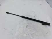 Gasfeder für Motorhaube Toyota Corolla Verso (E12J1) 6896002030