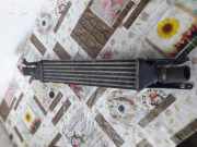 Ladeluftkühler Fiat Punto (188)