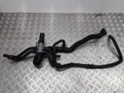 Schlauch Kühlung RENAULT LAGUNA Coupe (DT0/1) 3.0 dCi (DT03) 1800418315
