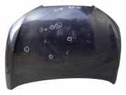 Motorhaube SEAT IBIZA IV (6J5, 6P1) 1.6 TDI