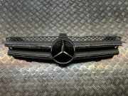 Vorderer oberer Gitter MERCEDES-BENZ CLS (C219) CLS 320 CDI (219.322) A2198801083