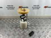 Kraftstoffpumpe Ford EcoSport () CN159275BA