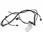 Kabelbaum Renault Laguna III (T) 20103467