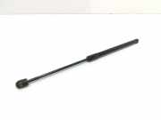 Heckklappendämpfer rechts Citroen C4 II (B7) 9800717680