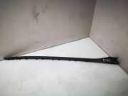 Zierleiste Windschutzscheibe Frontscheibe BMW F40 (F40)118i 7453949