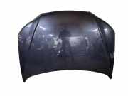 Motorhaube HYUNDAI SANTA FÉ II (CM) 2.2 CRDi 4x4