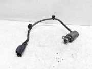 Einlassventil Volvo S60 II (134) 30757801