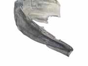 Radhaus rechts hinten Audi Q5 (8R)