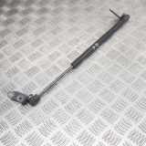 Gasfeder für Motorhaube Tesla Model S (5YJS) 106263400A