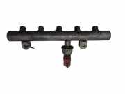 Einspritzleiste Ford C-Max II (DXA) 9645689580