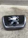 Emblem Peugeot 407 SW () 1858140030