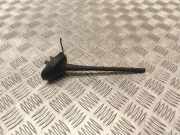 Antenne SKODA FABIA III Estate (NJ5) 1.0 6C00355015FQ