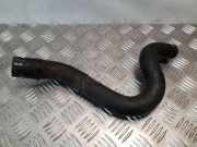 Schlauch Kühlung NISSAN PRIMERA (P12) 2.2 Di