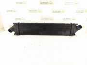 Ladeluftkühler FORD MONDEO IV (BA7) 2.0 TDCi 6G919L440FC