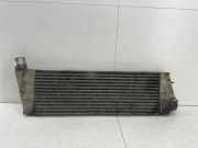Ladeluftkühler RENAULT MEGANE II (BM0/1_, CM0/1_) 1.9 dCi (BM0G, CM0G) R4851001