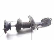 Stoßdämpfer vorne links RENAULT LAGUNA II (BG0/1_) 1.9 dCi (BG08, BG0G)