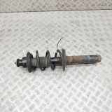 Stoßdämpfer hinten links PORSCHE BOXSTER (987) S 3.2 98733305104