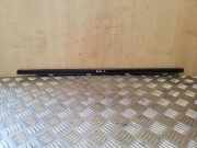 Türfensterleiste hinten links NISSAN QASHQAI II (J11, J11_) 1.5 dCi