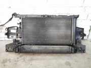 Armaturenbrett RENAULT MEGANE III Hatchback (BZ0/1_, B3_) 1.5 dCi 25021610270