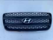 Vorderer oberer Gitter HYUNDAI SANTA FÉ II (CM) 2.2 CRDi 4x4 E865612B010