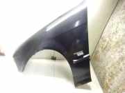 Kotflügel vorne links