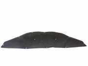 Polster der Motorhaube MERCEDES-BENZ R (W251, V251) R 320 CDI 4-matic (251.022, 251.122) A2516820026
