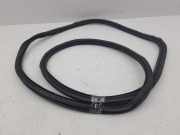 Türgummi rechts vorne Audi A4 Avant (8W, B9)