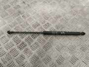 Gasfeder für Motorhaube Lancia Ypsilon (843) 46763101