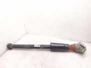 Stoßdämpfer hinten links AUDI A5 (F53) 2.0 TDI 8W6513028