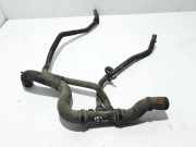 Wasserkühlerschlauch rechts RENAULT MASTER III Furgon (FV) 2.3 dCi 110 FWD 215031595R