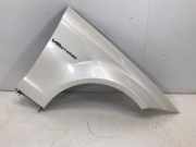 Kotflügel vorne links