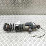 Stoßdämpfer hinten links BMW 6 Cabrio (F12) 650 i xDrive A2C53380685
