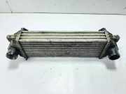 Ladeluftkühler FORD TRANSIT CONNECT (P65_, P70_, P80_) 1.8 Di