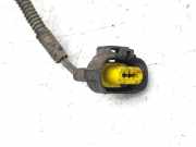 Kabelbaum RENAULT ESPACE IV (JK0/1_) 2.2 dCi (JK0H) 8200368