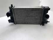 Ladeluftkühler OPEL MERIVA B 1.4 W6830001