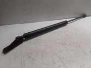 Heckklappe Gasdruckfeder rechts TOYOTA COROLLA Verso (_E12_) 1.6 VVT-i (ZZE121_)