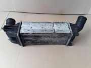 Ladeluftkühler PEUGEOT 407 Coupe (6C_) 2.0 HDi 874823N