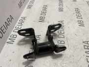 Türscharnier hinten rechts Tesla Model S (5YJS) 120038