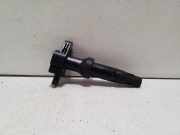 Zündspule FORD KUGA III (DFK) 2.5 Duratec Plug-in-Hybrid LX6E12A375BA