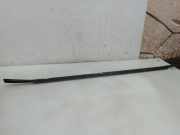 Türfensterleiste hinten links CITROËN C5 II Break (RE_) 2.2 HDi