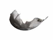 Radhaus links hinten BMW 3er Touring (E91)