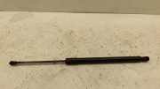 Heckklappe Gasdruckfeder links VW GOLF VII (5G1, BQ1, BE1, BE2) 2.0 GTD 5G6827550G