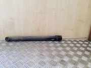 Stoßdämpfer hinten links