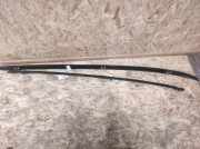 Dachreling-Set FORD C-MAX (DM2) 1.6 TDCi