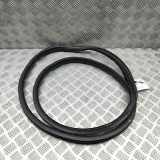 Türgummi links hinten Citroen C3 III (SX) 9813059680