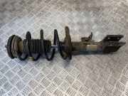 Stoßdämpfersatz Vorderachse Citroen Berlingo II Kasten (B9)