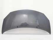 Motorhaube RENAULT TWINGO II (CN0_) 1.2 (CN0D) 7751477649