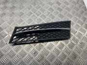 Kühlergrill unten BMW 5er (F10) 7200699