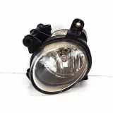 Nebelscheinwerfer vorne rechts AUDI A5 (8T3) 3.0 TDI quattro 8T0941700