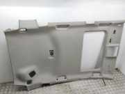 Dachverkleidung TOYOTA RAV 4 III (_A3_) 2.2 D 4WD (ALA30_)